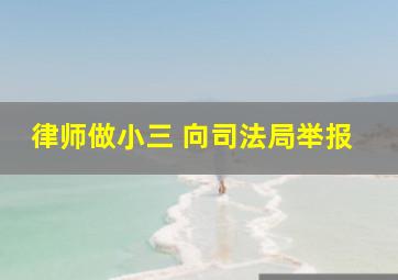 律师做小三 向司法局举报